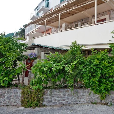 Apartament Medin Di Lastua Petrovac Zewnętrze zdjęcie